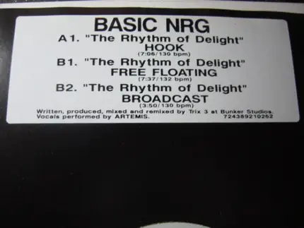 Basic NRG - The Rhythm Of Delight