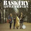 CD - Baskery - Little Wild Life - Digifile