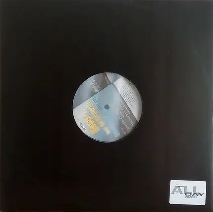 Bass-T feat. DJ Schwede - How Low Can You Go