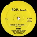 12inch Vinyl Single - Bassy - Secrets Of The Ninja