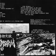 7inch Vinyl Single - Battle Of Disarm - In The War