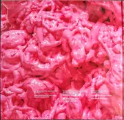 Double LP - Battles - Gloss Drop