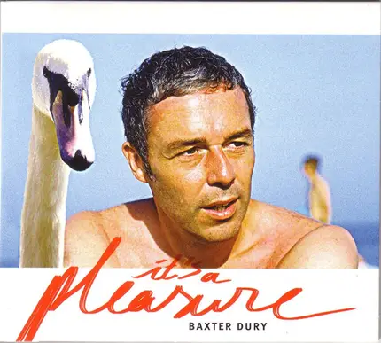 Baxter Dury - It's a Pleasure