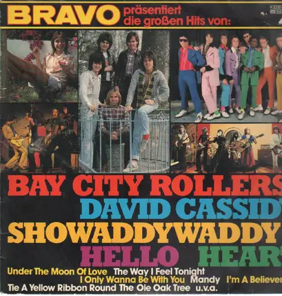 Bay City Rollers, David Cassed a.o. - Bravo präsentiert die großen Hits