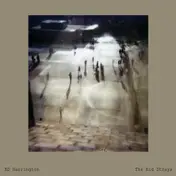Bd Harrington - The Kid Strays