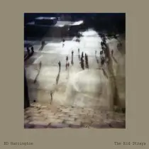 Bd Harrington - The Kid Strays