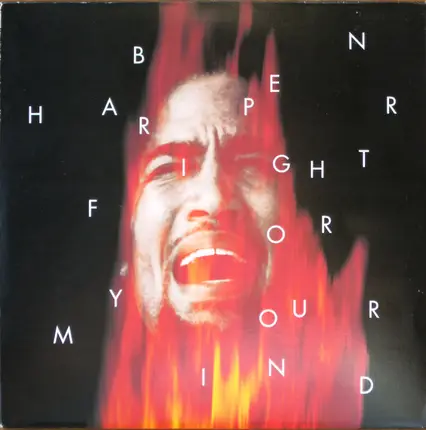 Ben Harper - Fight for Your Mind