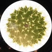 Double LP - Ben Harper - Fight For Your Mind