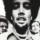CD - Ben Harper - The Will To Live
