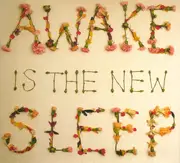 CD - Ben Lee - Awake Is The New Sleep