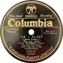 Schellack - Ben Selvin & His Orchestra - Am I Blue? / My Song Of The Nile