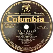 Ben Selvin & His Orchestra - Am I Blue? / My Song Of The Nile