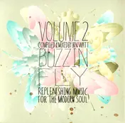 Ben Watt - Buzzin' Fly Volume 2