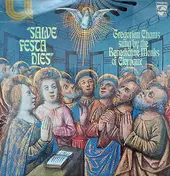 Sai - Salve Festa Dies