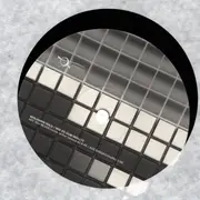Double LP - Benjamin Wild - Wie Es Sein Wollte
