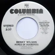 Benny Wilson - Acres Of Diamonds