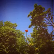 benoit pioulard - Sonnet