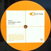 12inch Vinyl Single - Beat-Boy - Roof Is On Fire