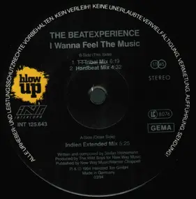 The Beatexperience - I Wanna Feel The Music