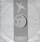 12'' - Beatsurfer - Leila's vision
