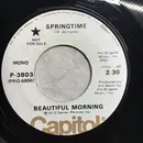 7inch Vinyl Single - Beautiful Morning - Springtime
