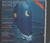 Beautiful World - Wonderful World - Hits die werben