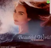 12'' - Beautiful World - In The Beginning