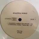 LP - Beautiful World - Wonderful World