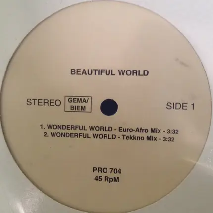 Beautiful World - Wonderful World