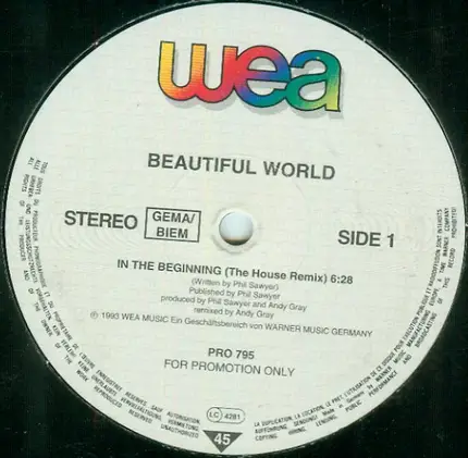 Beautiful World - In the Beginning