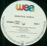 12'' - Beautiful World - In The Beginning