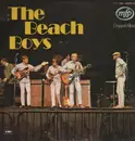 Double LP - The Beach Boys - Best Of The Beach Boys