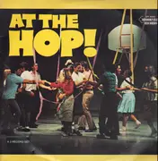 LP-Box - Beach Boys, Buddy Holly, Coasters - At The Hop!