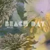 LP - Beach Day - Native Echoes