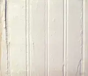 beach fossils - Beach Fossils