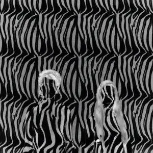 Beach House - Zebra
