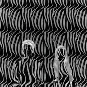 Beach House - Zebra