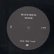 Double LP - Beach House - Bloom