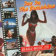 7'' - Beagle Music Ltd. - Ice In The Sunshine