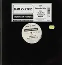 12'' - Beam vs. Cyrus - Thunder In Paradise