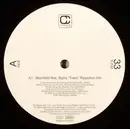 12inch Vinyl Single - Beanfield Feat. Bajka / The Invisible Session - Tides (Ripperton Mix) / Till The End (Panoptikum Instrumental Mix)