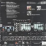 12inch Vinyl Single - Beanfield - Birds & Bees