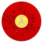 bear in heaven - Wholehearted Mess -Ltd-