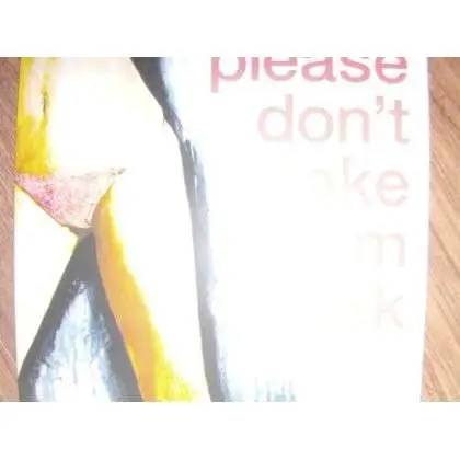 BEARSUIT - PLEASE DON'T TAKE HIM BACK