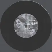 7inch Vinyl Single - Bearsuit - Stop What You're Doing What You're Doing Is Wrong