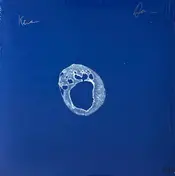 BEAR'S DEN - Blue Hours