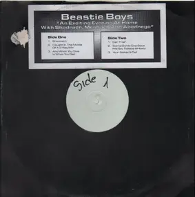 Beastie Boys - An Exciting Evening At Home With Shadrach, Meshach And Abednego