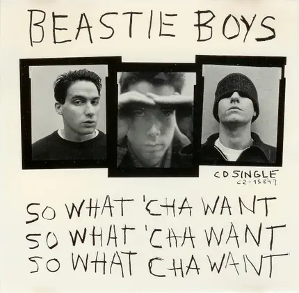 Beastie Boys - So What 'Cha Want