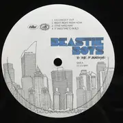 Double LP - The Beastie Boys - To The 5 Boroughs