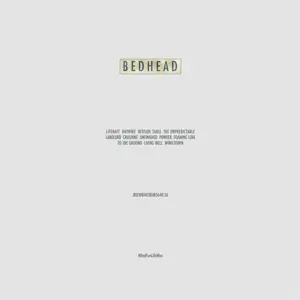 Bedhead - What Fun Life Was